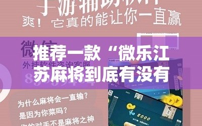 推荐一款“微乐江苏麻将到底有没有挂”细辅助教程分享