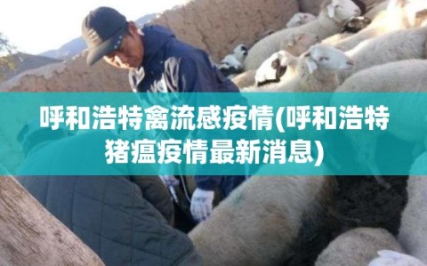 呼和浩特禽流感疫情(呼和浩特猪瘟疫情最新消息)