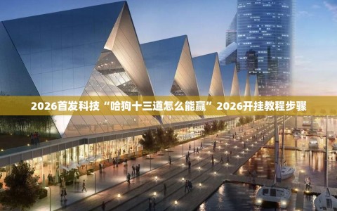 2026首发科技“哈狗十三道怎么能赢”2026开挂教程步骤
