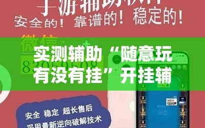 实测辅助“随意玩有没有挂”开挂辅助脚本+详细开挂安装教程