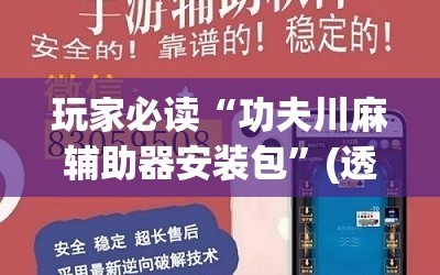 玩家必读“功夫川麻辅助器安装包”(透视)其实确实有挂