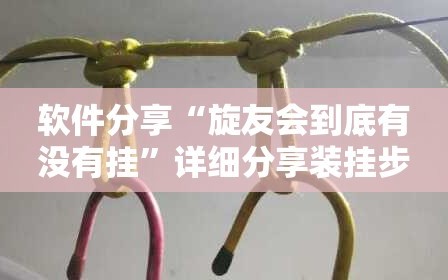 软件分享“旋友会到底有没有挂”详细分享装挂步骤