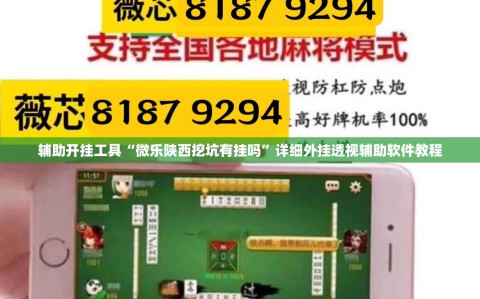 辅助开挂工具“微乐陕西挖坑有挂吗”详细外挂透视辅助软件教程