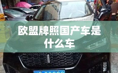 欧盟牌照国产车是什么车