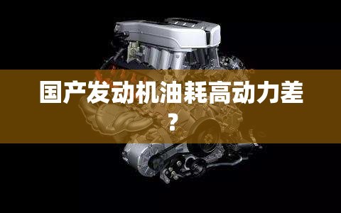 国产发动机油耗高动力差？