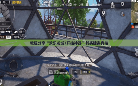 教程分享“欢乐龙城3开挂神器”其实确实有挂