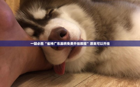 一键必胜“雀神广东麻将免费开挂教程”原来可以开挂