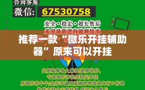 推荐一款“微乐开挂辅助器”原来可以开挂