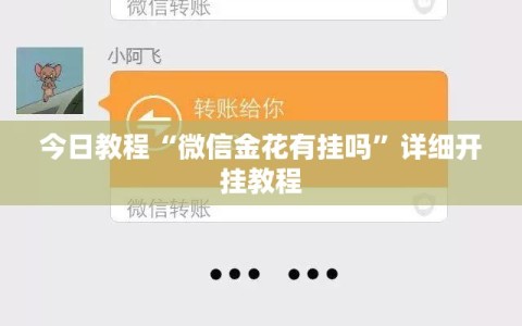 今日教程“微信金花有挂吗”详细开挂教程