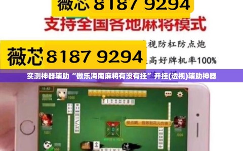 实测神器辅助“微乐海南麻将有没有挂”开挂(透视)辅助神器