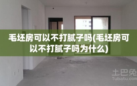 毛坯房可以不打腻子吗(毛坯房可以不打腻子吗为什么)