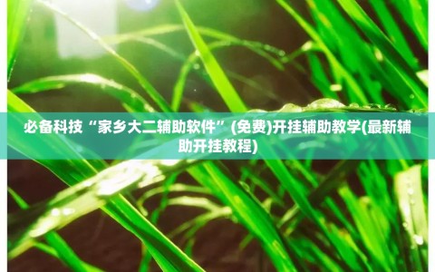 必备科技“家乡大二辅助软件”(免费)开挂辅助教学(最新辅助开挂教程)
