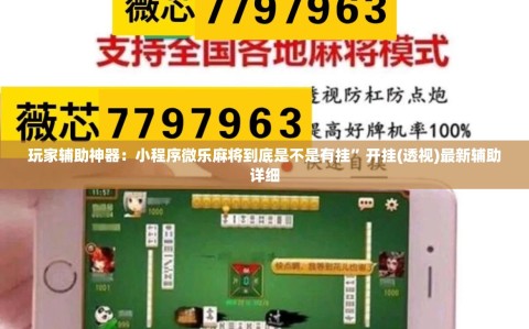 玩家辅助神器：小程序微乐麻将到底是不是有挂”开挂(透视)最新辅助详细
