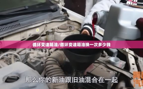 循环变速箱油/循环变速箱油换一次多少钱