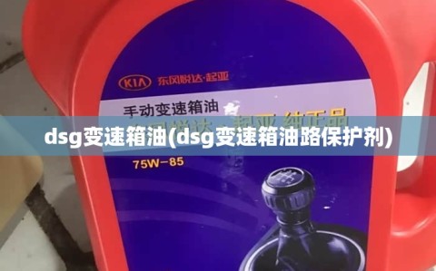 dsg变速箱油(dsg变速箱油路保护剂)