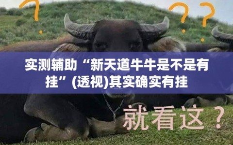实测辅助“新天道牛牛是不是有挂”(透视)其实确实有挂