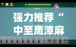 强力推荐“中至鹰潭麻将怎么装开挂”开挂(透视)辅助教程