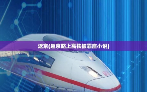 返京(返京路上高铁被霸座小说)
