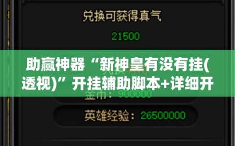 助赢神器“新神皇有没有挂(透视)”开挂辅助脚本+详细开挂安装教程