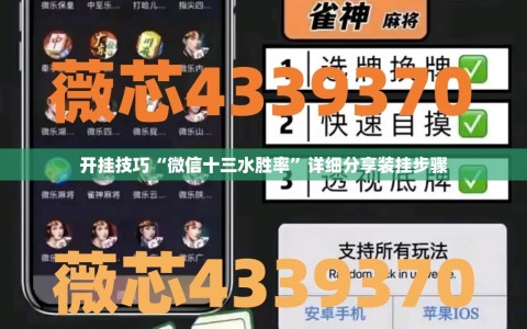 开挂技巧“微信十三水胜率”详细分享装挂步骤