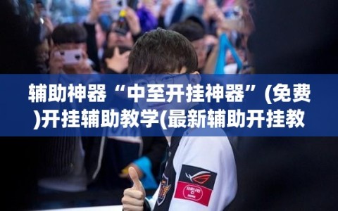 辅助神器“中至开挂神器”(免费)开挂辅助教学(最新辅助开挂教程)