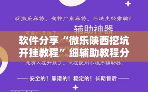 软件分享“微乐陕西挖坑开挂教程”细辅助教程分享