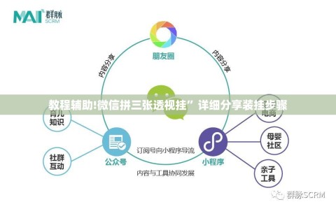教程辅助!微信拼三张透视挂”详细分享装挂步骤