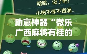 助赢神器“微乐广西麻将有挂的吗”详细外挂透视辅助软件教程