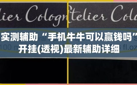 实测辅助“手机牛牛可以赢钱吗”开挂(透视)最新辅助详细