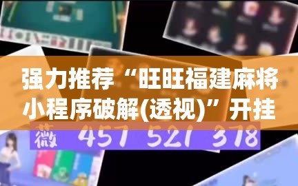 强力推荐“旺旺福建麻将小程序破解(透视)”开挂辅助脚本+详细开挂安装教程