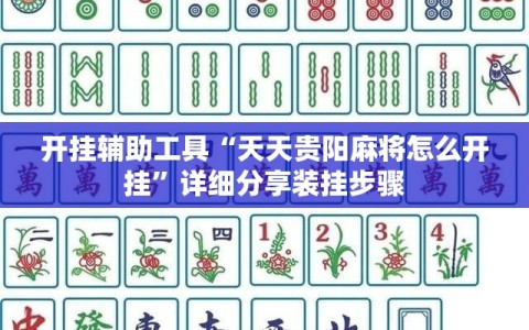 开挂辅助工具“天天贵阳麻将怎么开挂”详细分享装挂步骤