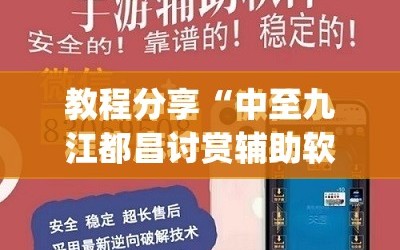 教程分享“中至九江都昌讨赏辅助软件”开挂(透视)最新辅助详细
