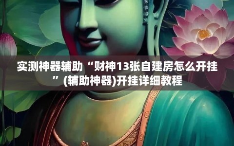 实测神器辅助“财神13张自建房怎么开挂”(辅助神器)开挂详细教程