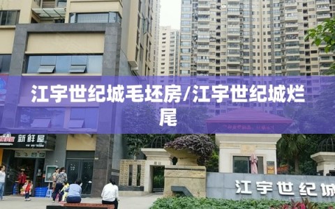 江宇世纪城毛坯房/江宇世纪城烂尾