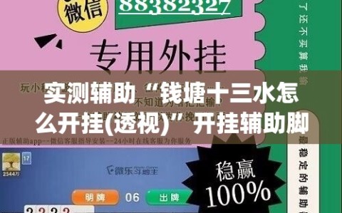 实测辅助“钱塘十三水怎么开挂(透视)”开挂辅助脚本+详细开挂安装教程