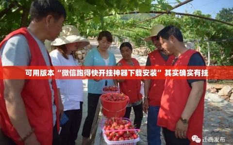 可用版本“微信跑得快开挂神器下载安装”其实确实有挂