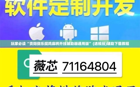 玩家必读“贵阳微乐捉鸡麻将开挂辅助器通用版”(透视挂)辅助下载教程