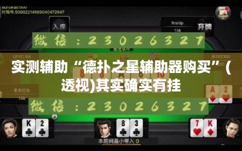实测辅助“德扑之星辅助器购买”(透视)其实确实有挂