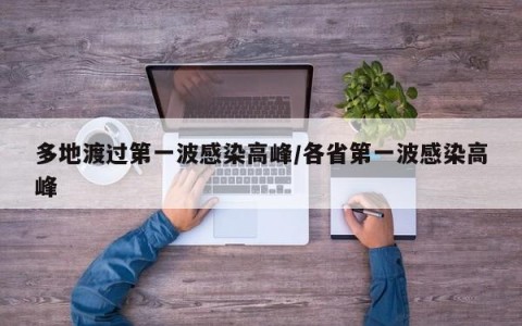 多地渡过第一波感染高峰/各省第一波感染高峰