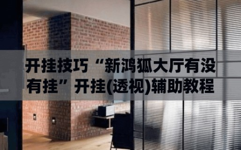 开挂技巧“新鸿狐大厅有没有挂”开挂(透视)辅助教程