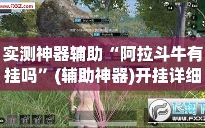 实测神器辅助“阿拉斗牛有挂吗”(辅助神器)开挂详细教程