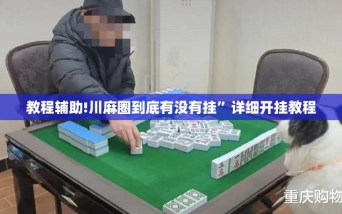 教程辅助!川麻圈到底有没有挂”详细开挂教程