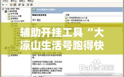 辅助开挂工具“大凉山生活号跑得快有挂吗”开挂辅助脚本+详细开挂安装教程