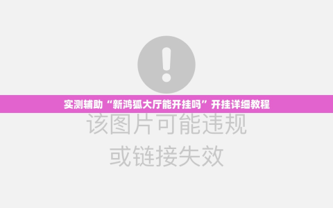 实测辅助“新鸿狐大厅能开挂吗”开挂详细教程