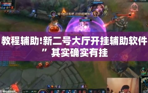 教程辅助!新二号大厅开挂辅助软件”其实确实有挂