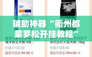 辅助神器“衢州都莱罗松开挂教程”详细分享装挂步骤