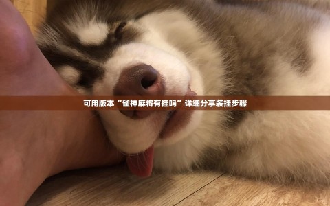 可用版本“雀神麻将有挂吗”详细分享装挂步骤
