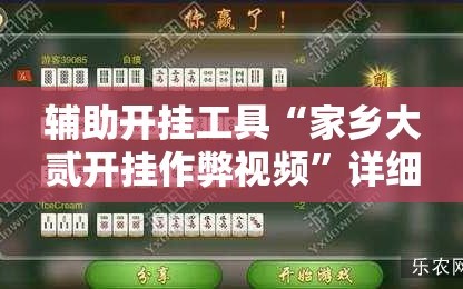 辅助开挂工具“家乡大贰开挂作弊视频”详细开挂教程