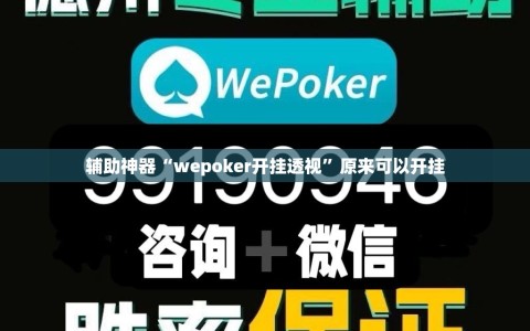 辅助神器“wepoker开挂透视”原来可以开挂
