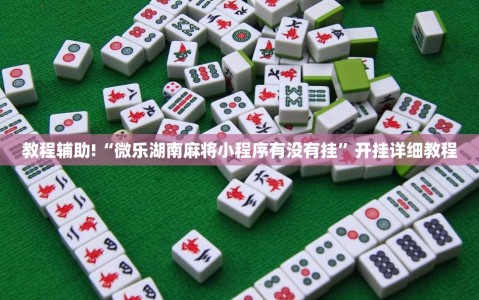 教程辅助!“微乐湖南麻将小程序有没有挂”开挂详细教程